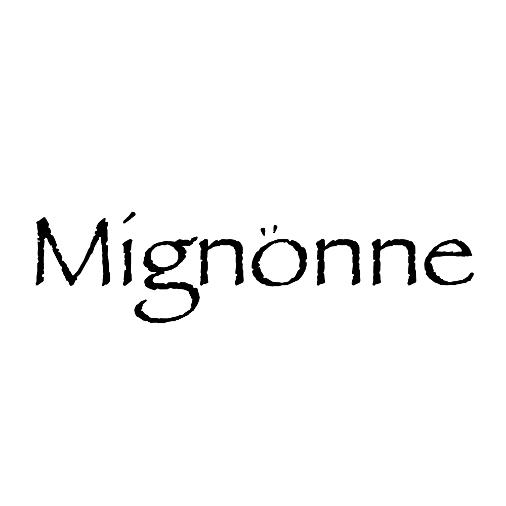 專業 Logo 設計服務