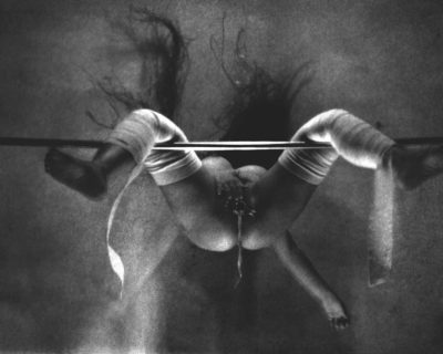 Flight in the Night 1987-2010 / 240cm x 300cm Flight in the Night 1987-2010 / 240cm x 300cm