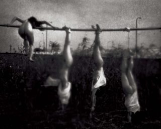 Bitches-1987-2010 / 240cm x 300cm