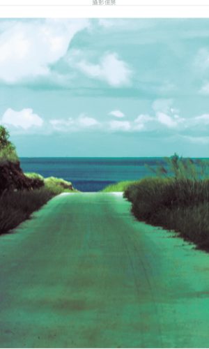 個人簡歷-16-photo版 個人簡歷-16-photo版