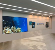 IMG_8015-1 IMG_8015-1