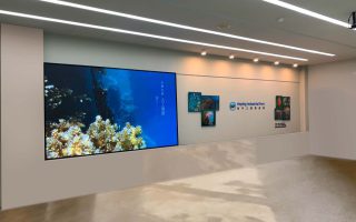 IMG_8015-1 IMG_8015-1