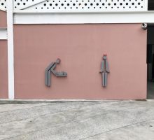 toilet-lady toilet-lady