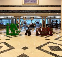 台泥lobby 台泥lobby