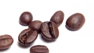 coffee-bean